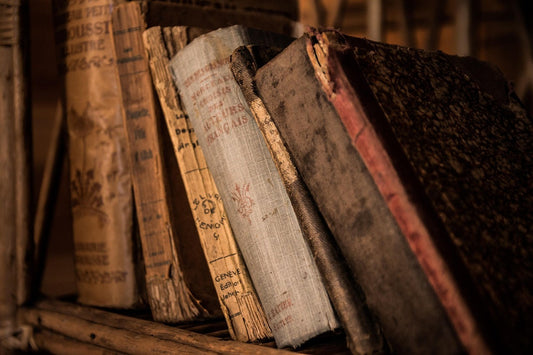 The Bible and the Invention of the Book
